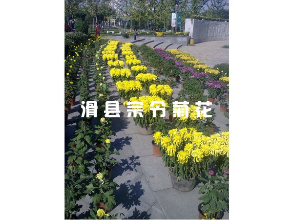 西安朝陽(yáng)公園工程