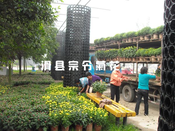 龍亭銷(xiāo)售